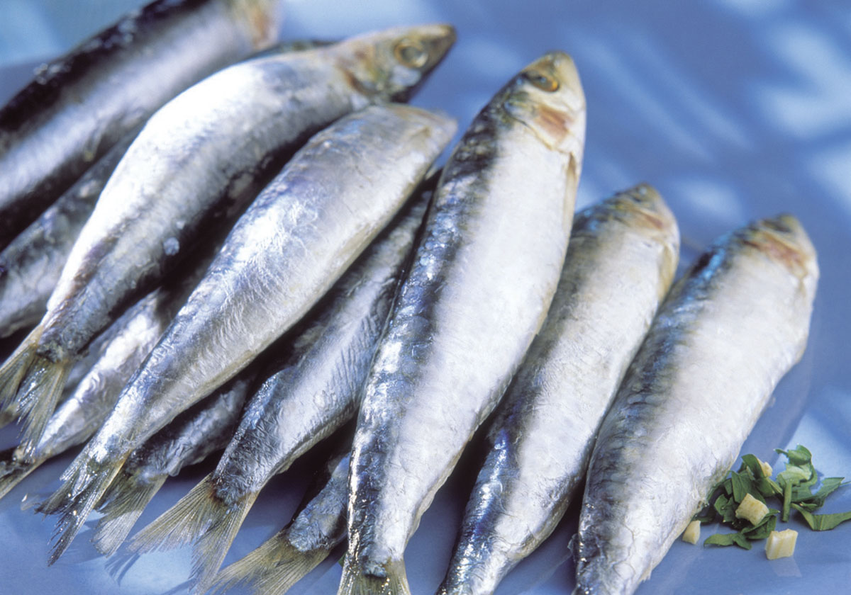 sardinas-salud-3